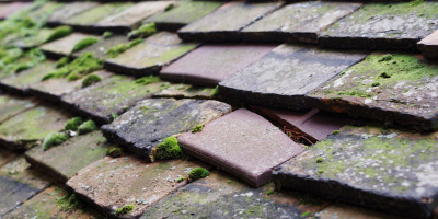 Crowborough roof repair costs